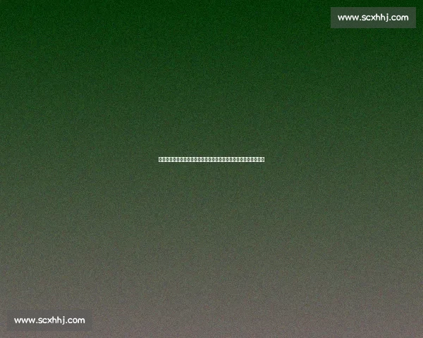 人类与袋鼠力量速度与智慧对决的极限生存想象实验全解析前瞻推演