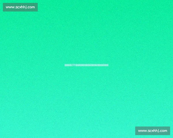 林书豪狂砍38分血战湖人经典一役全场高光回顾录像巅峰之夜完整