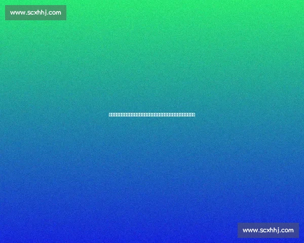 数据解析申花对阵东京攻防效率与关键指标全面对比胜负走势与比赛节奏洞察